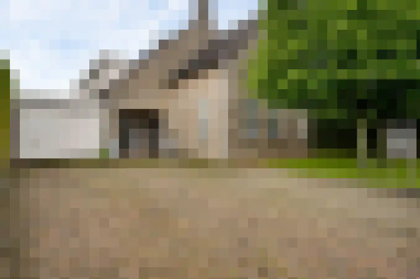 Berger-ven 2 Horn thumbnail 4
