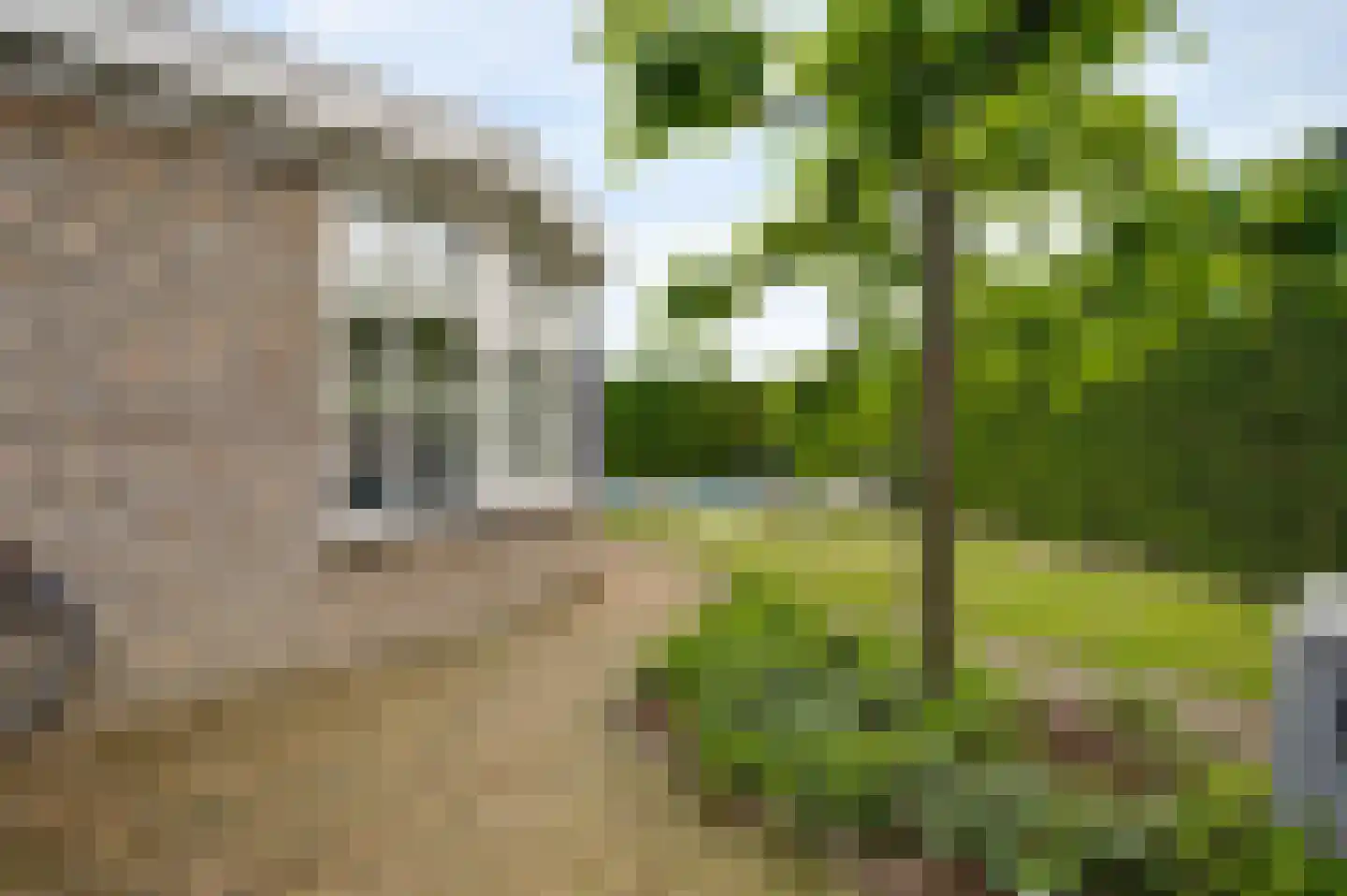 Berger-ven 2 Horn thumbnail 41