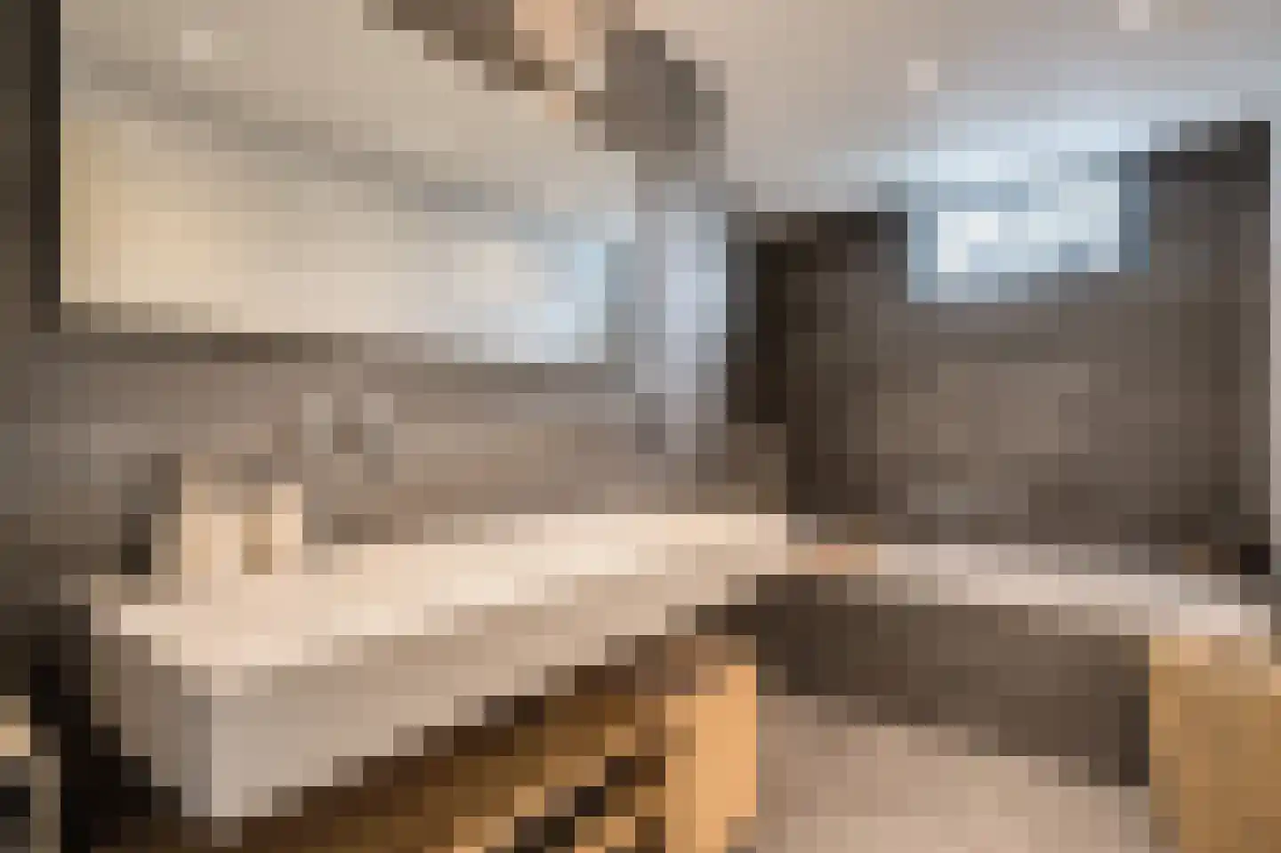 Berger-ven 2 Horn thumbnail 45