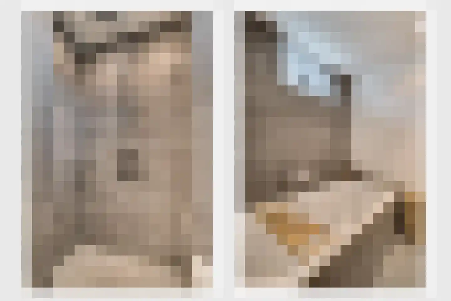 Berger-ven 2 Horn thumbnail 47