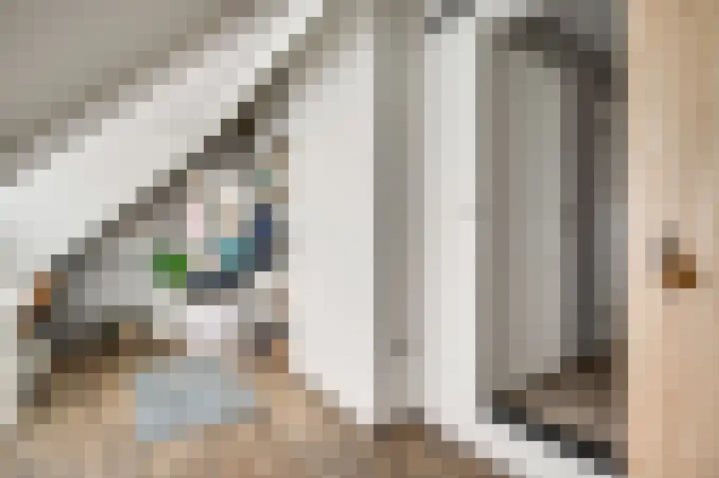 Berger-ven 2 Horn thumbnail 51