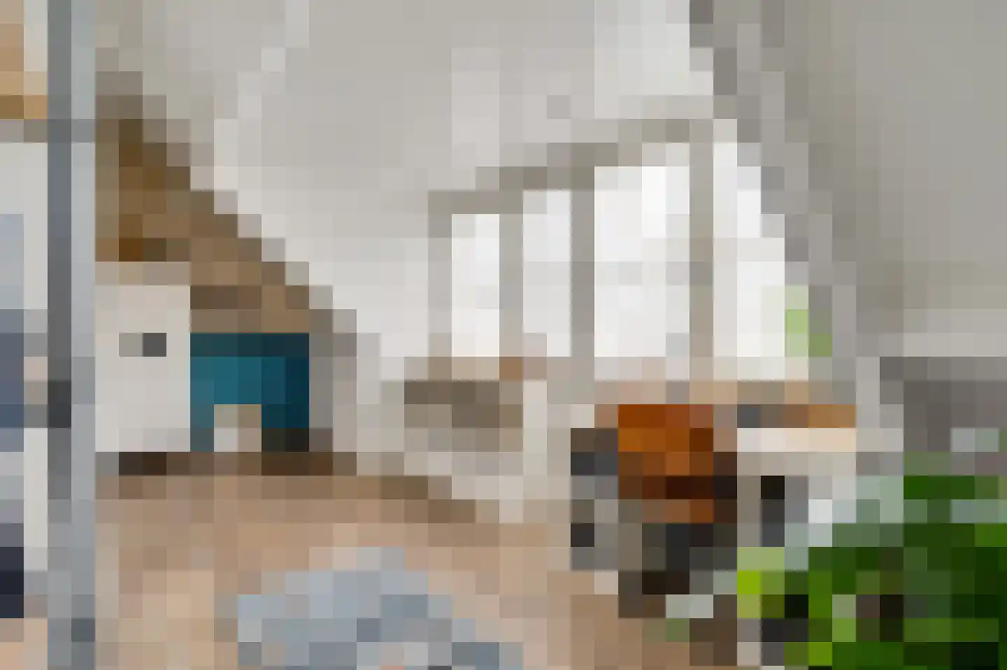 Berger-ven 2 Horn thumbnail 52
