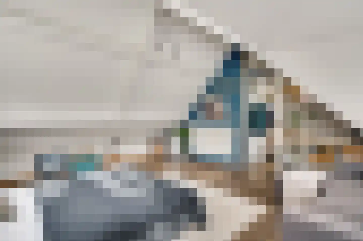 Berger-ven 2 Horn thumbnail 54