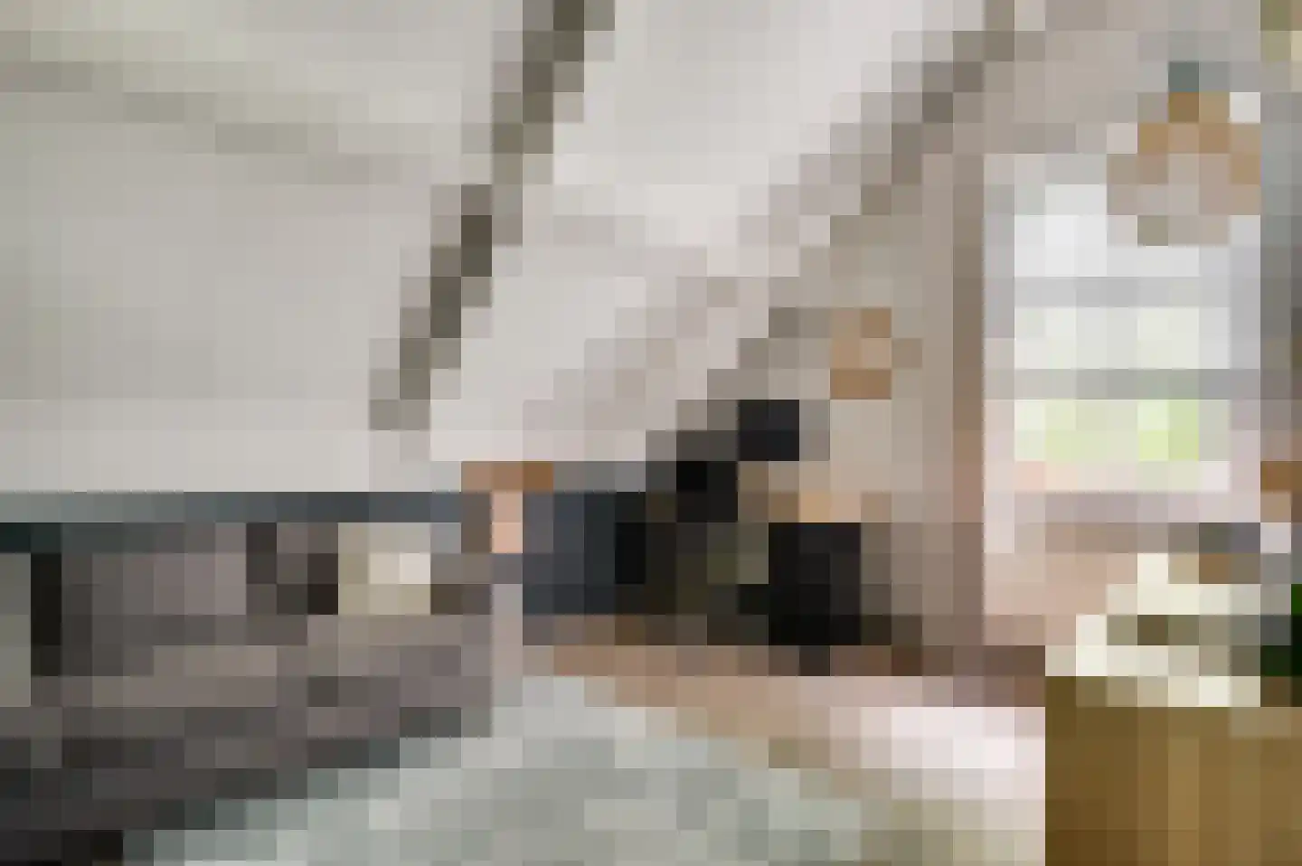 Berger-ven 2 Horn thumbnail 55