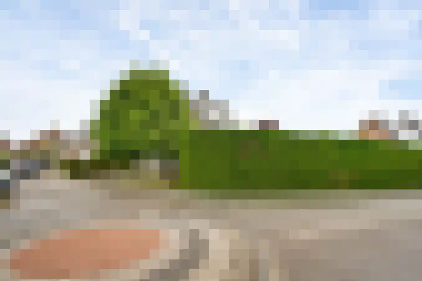 Berger-ven 2 Horn thumbnail 6