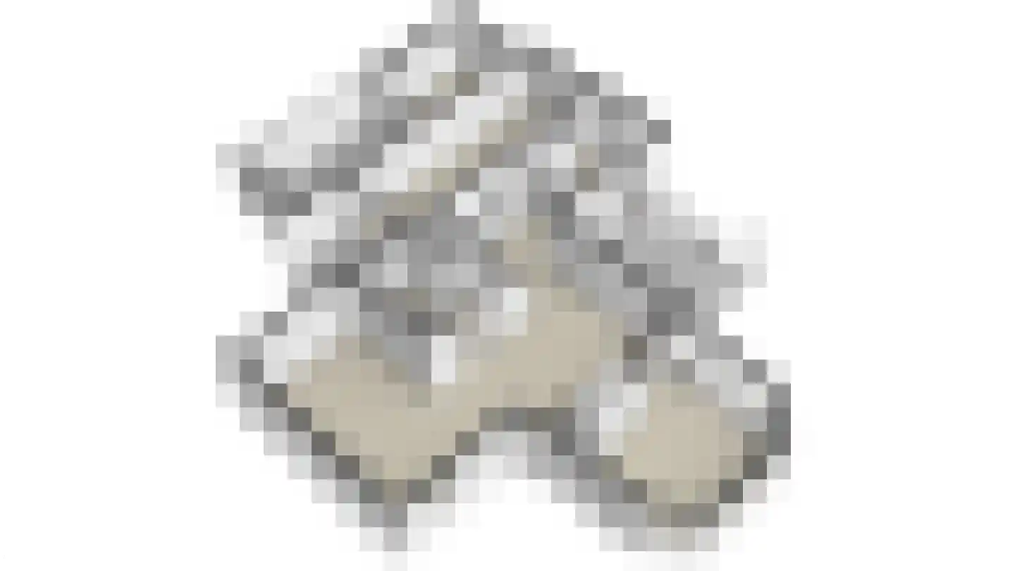 Berger-ven 2 Horn thumbnail 62
