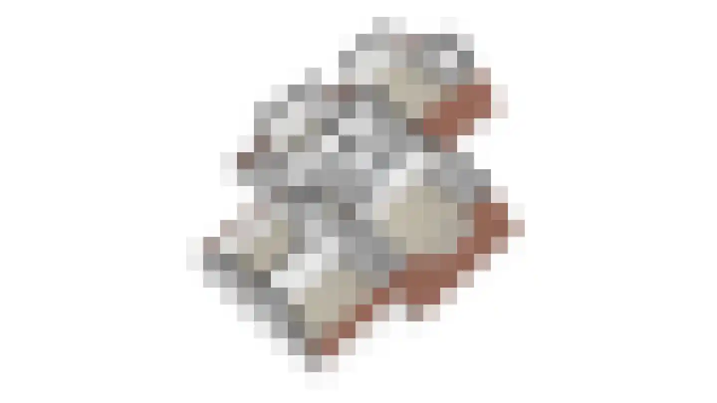Berger-ven 2 Horn thumbnail 64