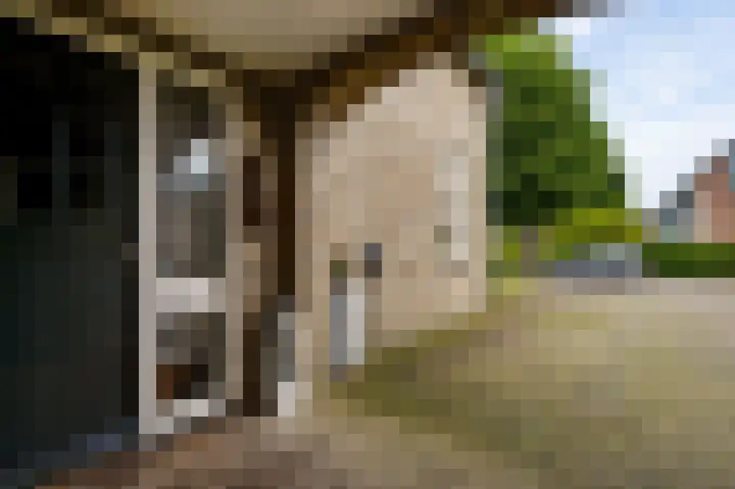 Berger-ven 2 Horn thumbnail 7