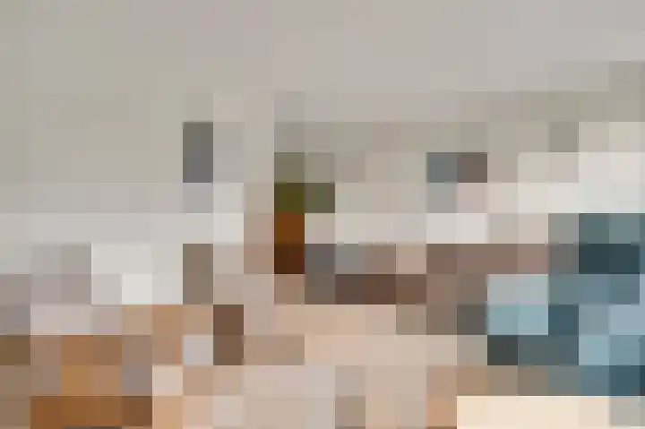 Berger-ven 28 Horn thumbnail 10