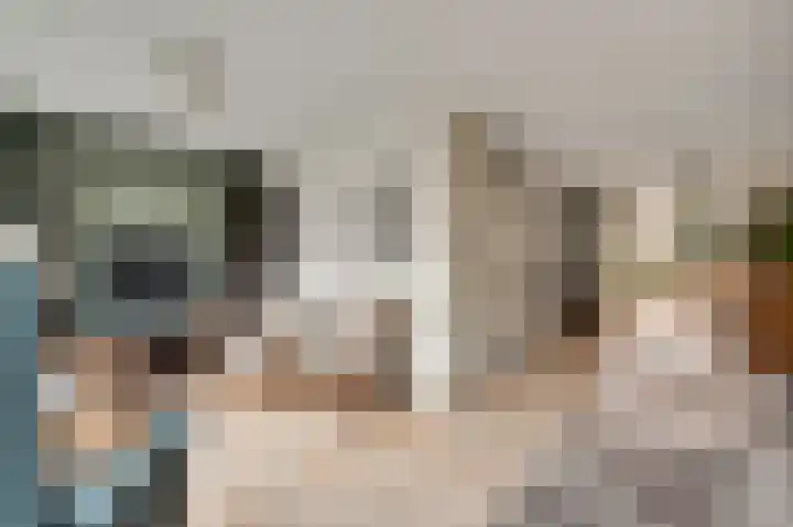 Berger-ven 28 Horn thumbnail 12