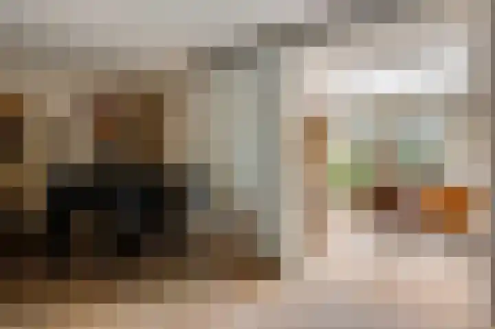 Berger-ven 28 Horn thumbnail 13