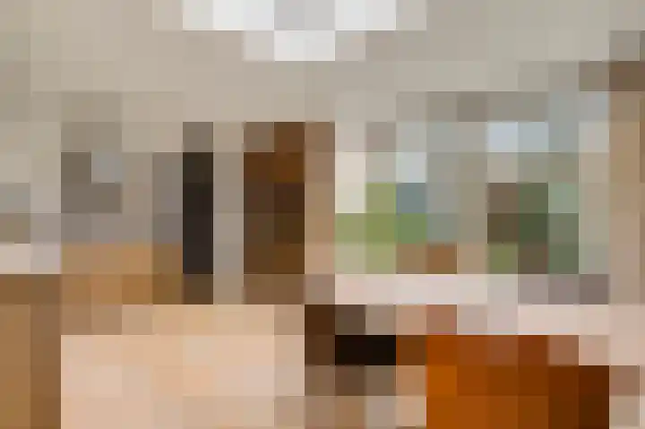 Berger-ven 28 Horn thumbnail 14