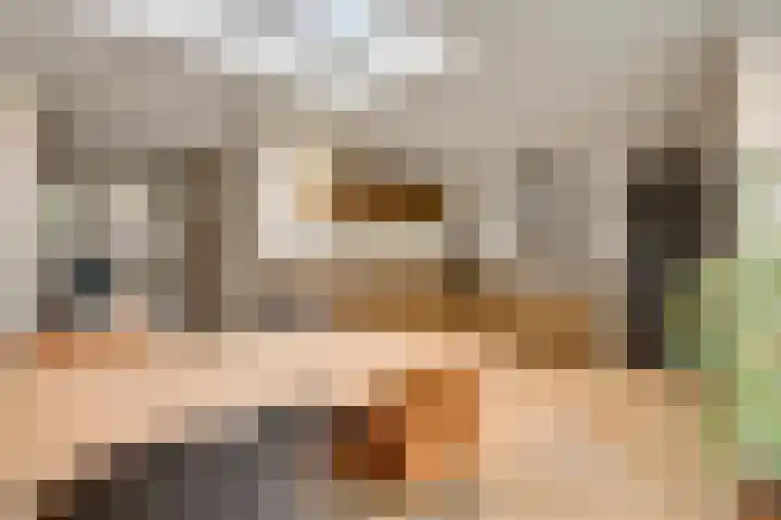 Berger-ven 28 Horn thumbnail 16