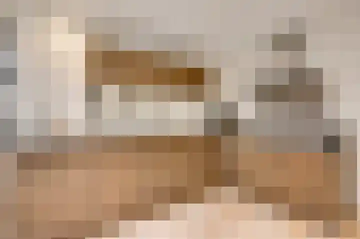 Berger-ven 28 Horn thumbnail 17