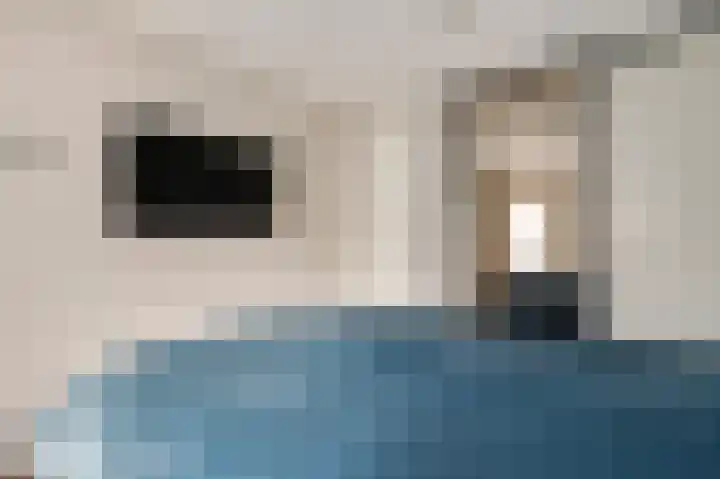 Berger-ven 28 Horn thumbnail 20