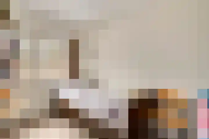 Berger-ven 28 Horn thumbnail 21