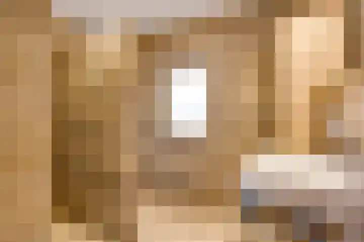 Berger-ven 28 Horn thumbnail 23