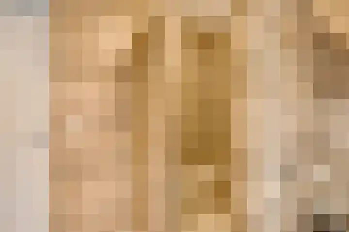 Berger-ven 28 Horn thumbnail 24