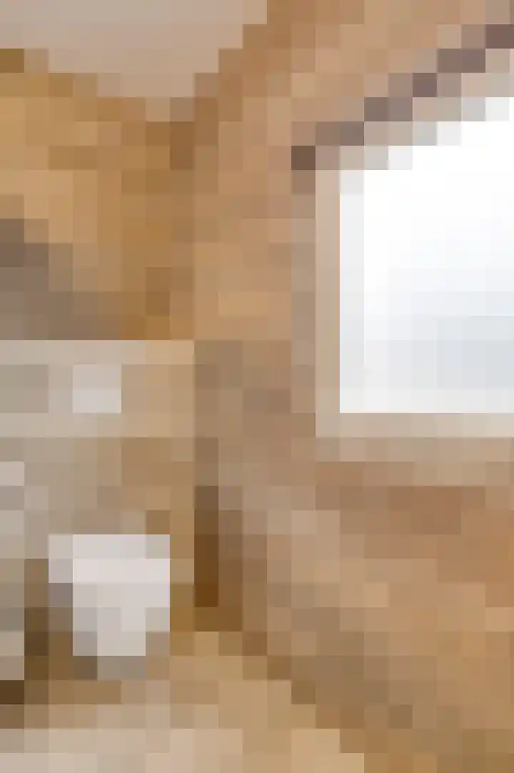 Berger-ven 28 Horn thumbnail 27