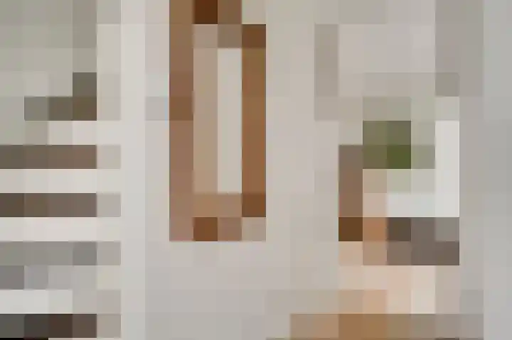 Berger-ven 28 Horn thumbnail 7