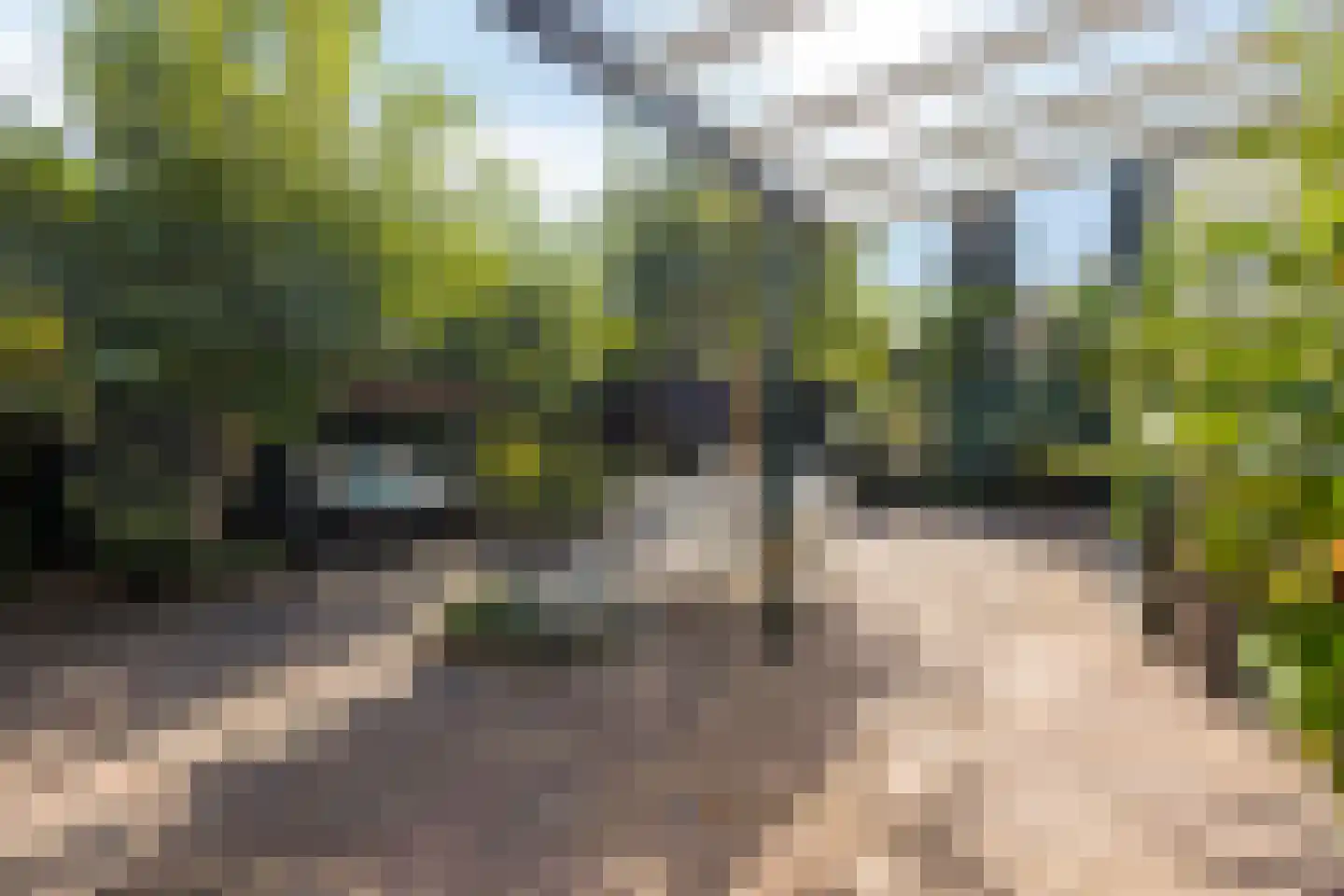 Berger-ven 35 Horn thumbnail 32