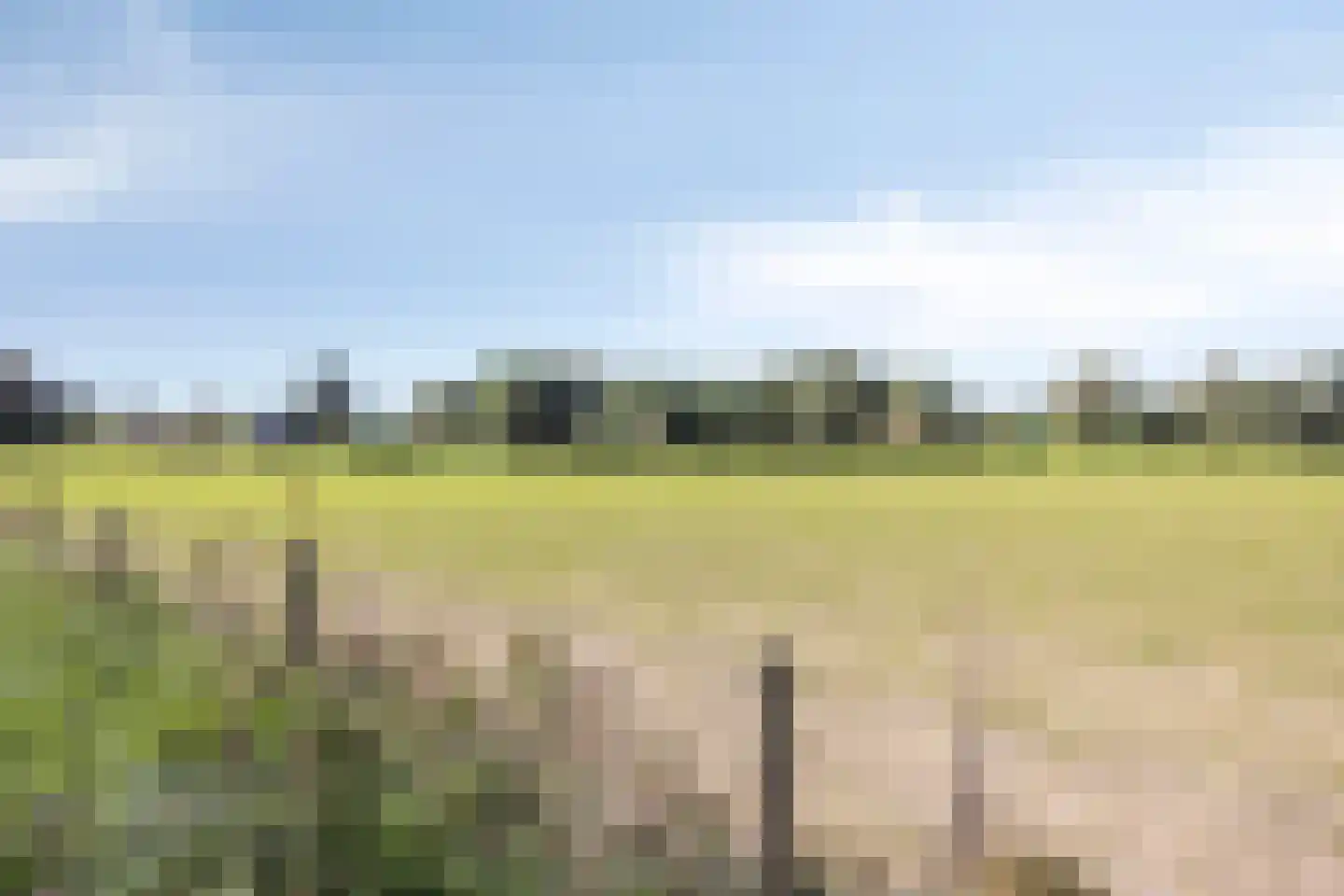 Berger-ven 35 Horn thumbnail 42