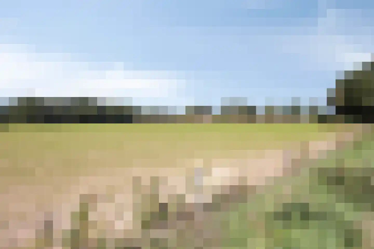 Berger-ven 35 Horn thumbnail 43