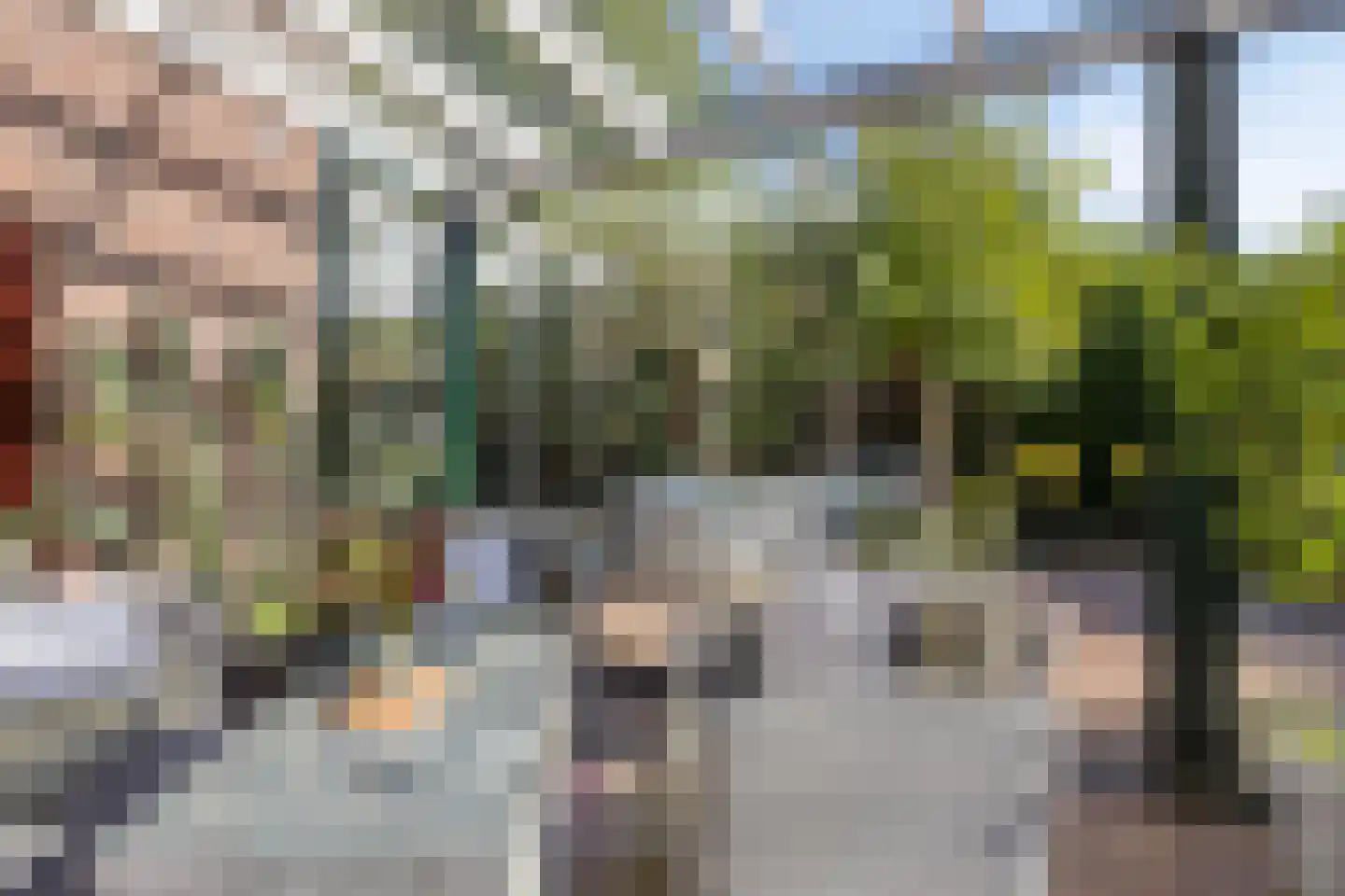 Berger-ven 35 Horn thumbnail 5