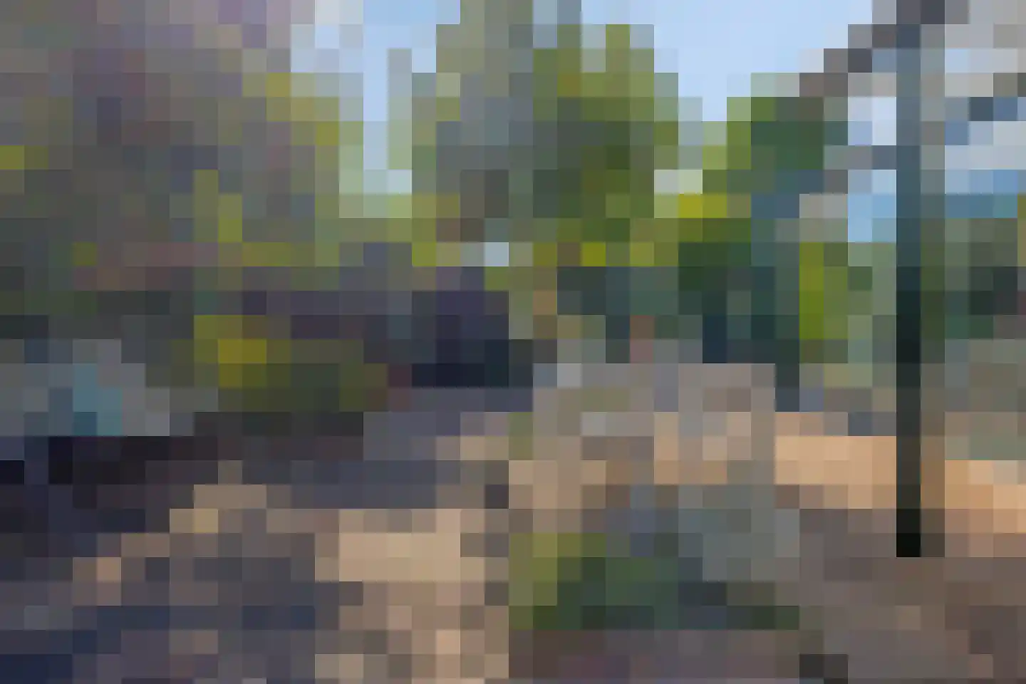 Berger-ven 35 Horn thumbnail 6