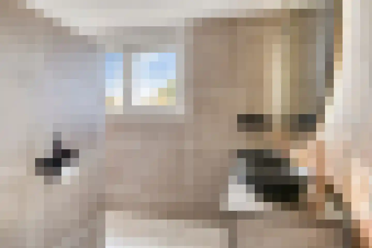 Bergeraclaan 12 Eindhoven thumbnail 14
