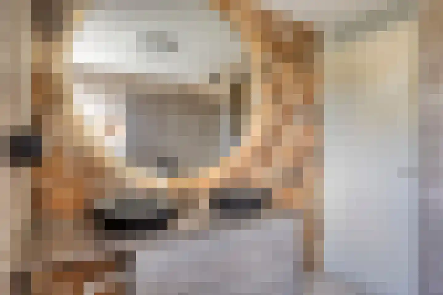 Bergeraclaan 12 Eindhoven thumbnail 15