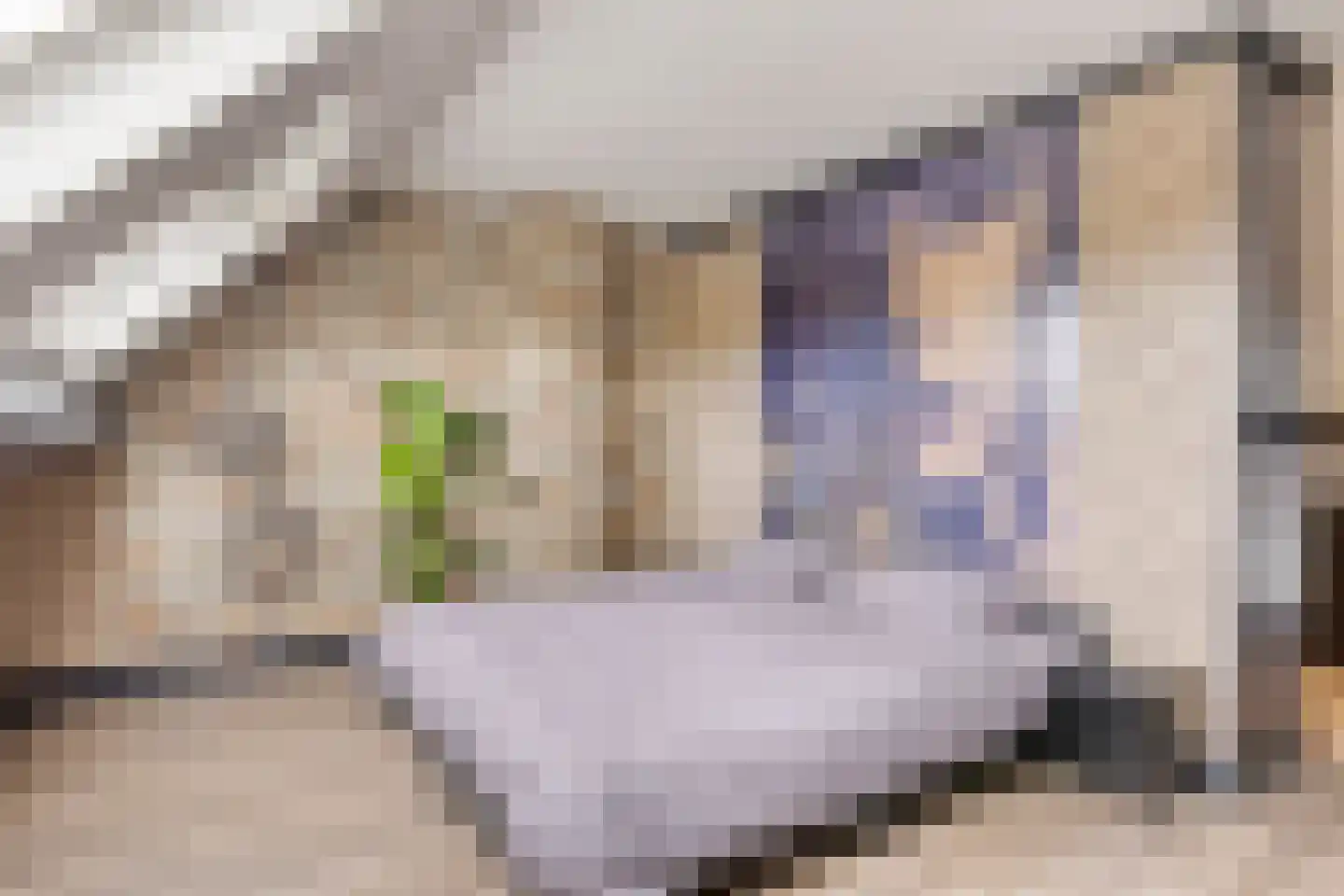 Bergeraclaan 12 Eindhoven thumbnail 19