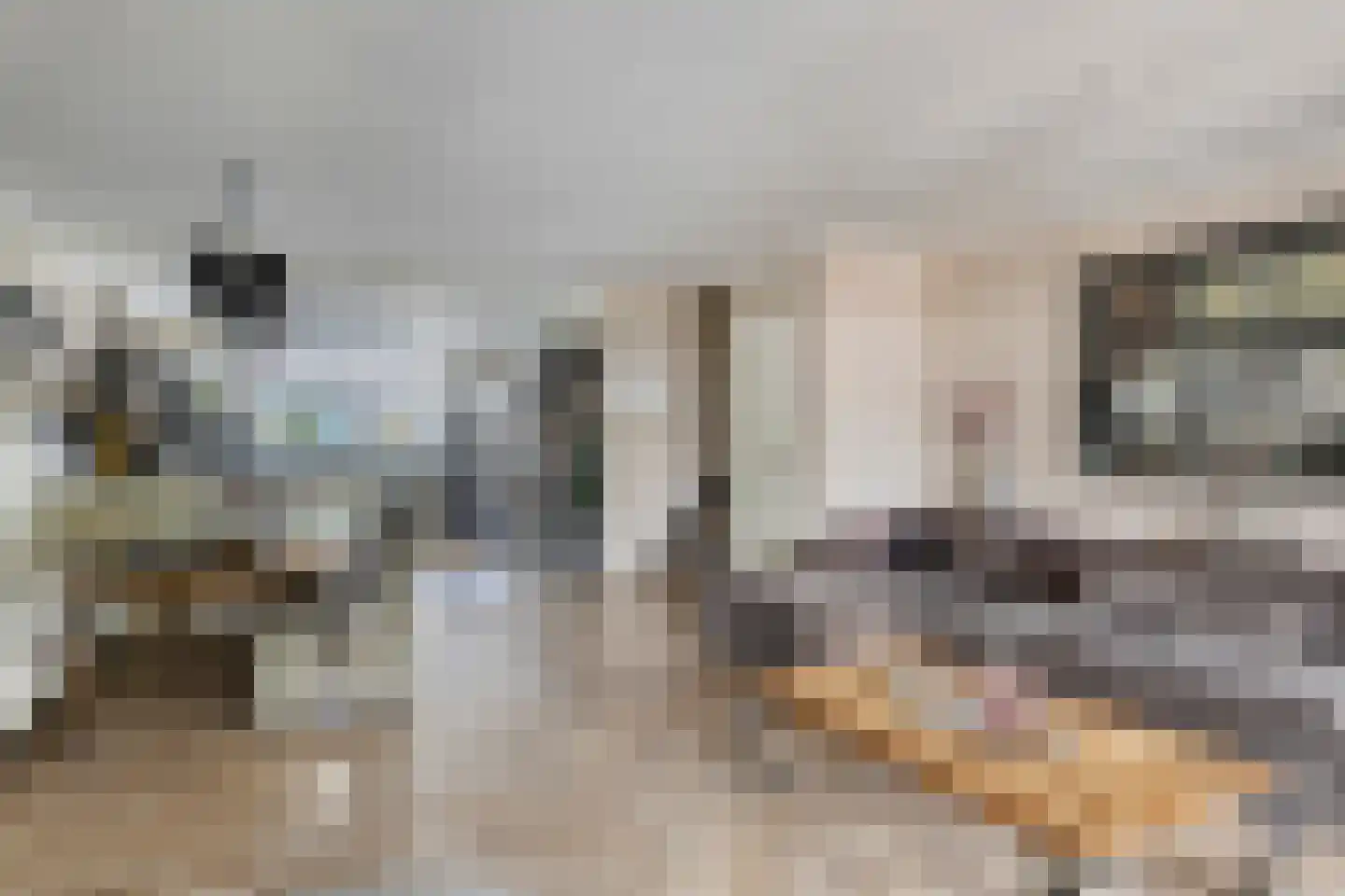 Bergeraclaan 12 Eindhoven thumbnail 8