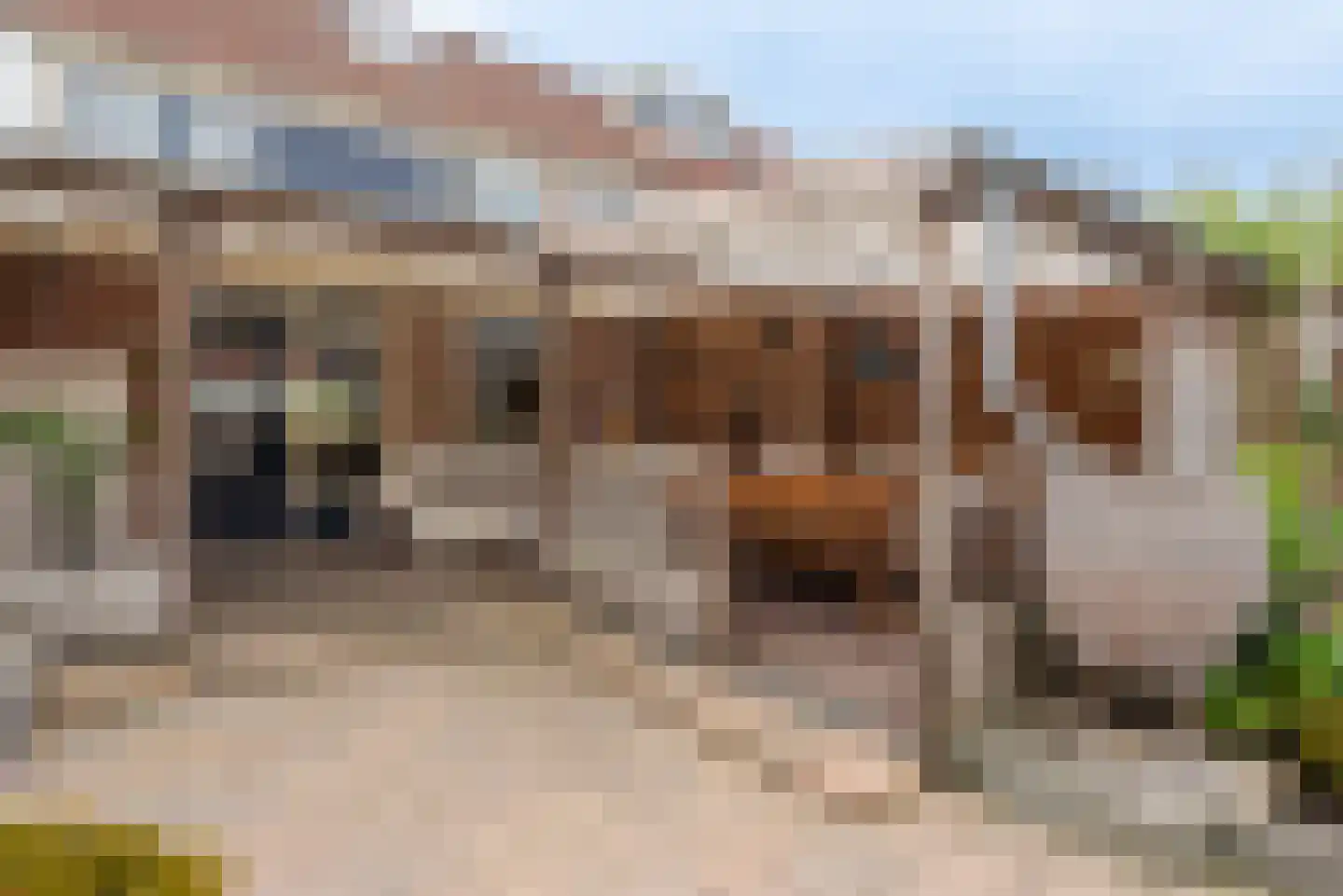 Bergeraclaan 51 Eindhoven thumbnail 53