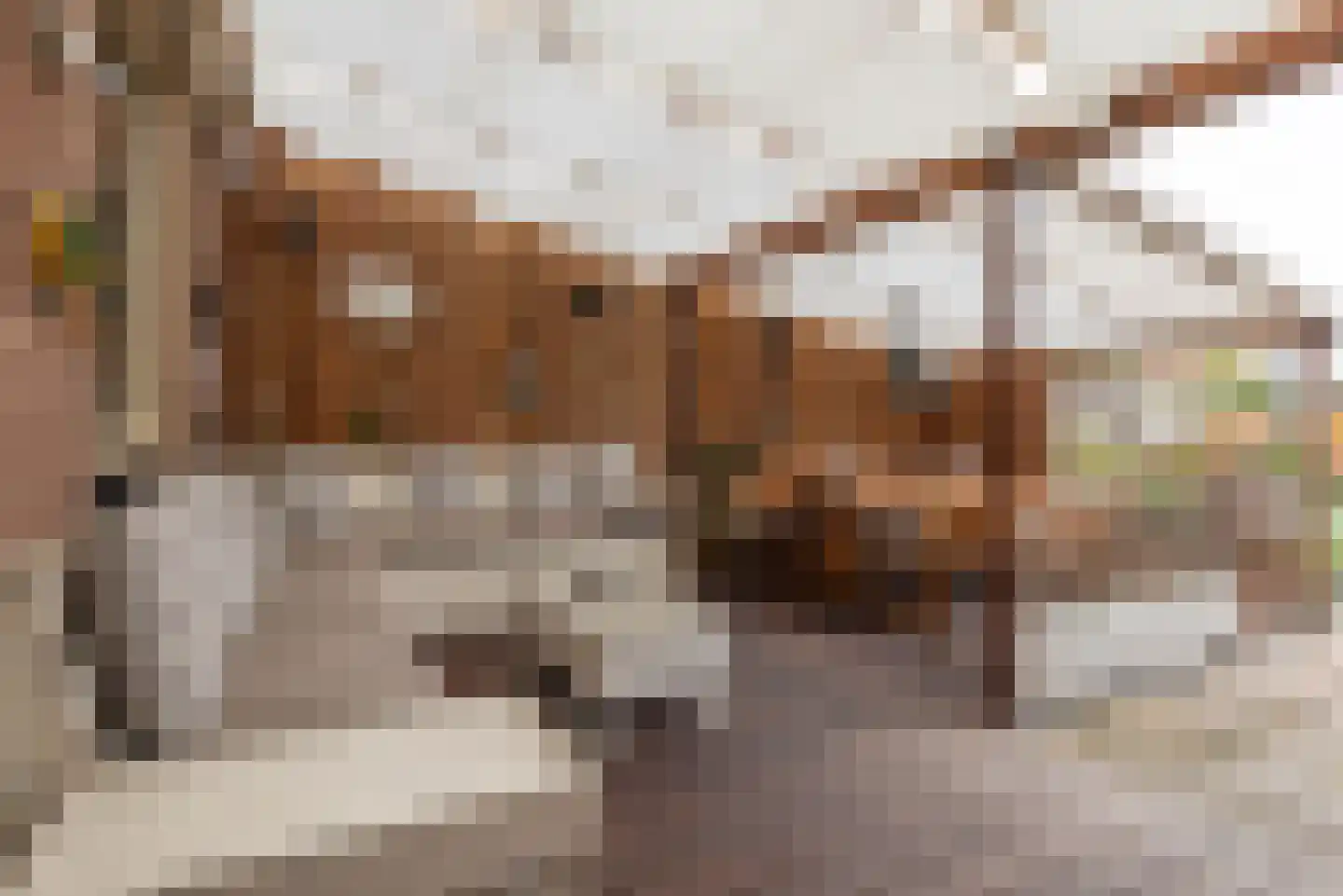 Bergeraclaan 51 Eindhoven thumbnail 6
