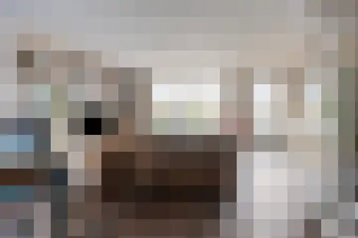 Bergeraclaan 57 Eindhoven thumbnail 11