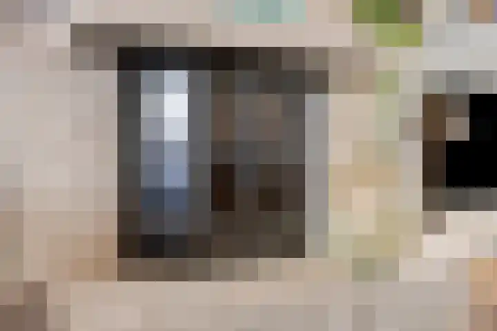 Bergeraclaan 57 Eindhoven thumbnail 13