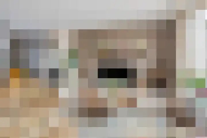 Bergeraclaan 57 Eindhoven thumbnail 14
