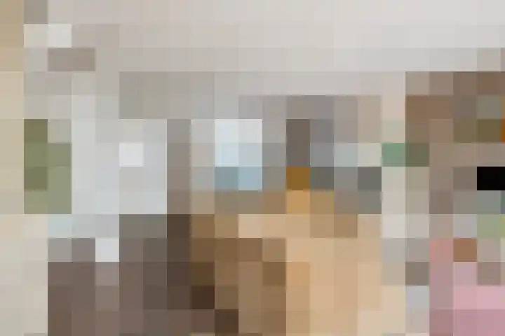 Bergeraclaan 57 Eindhoven thumbnail 16