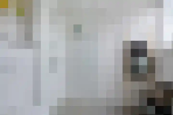 Bergeraclaan 57 Eindhoven thumbnail 24