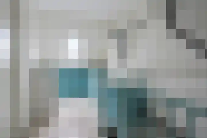Bergeraclaan 57 Eindhoven thumbnail 30