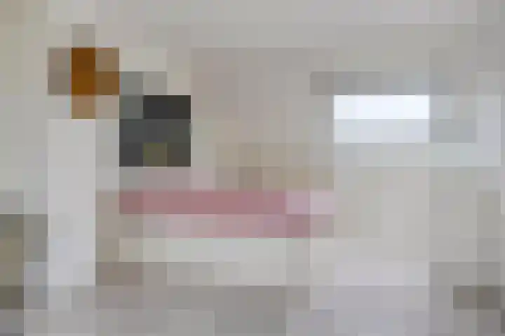 Bergeraclaan 57 Eindhoven thumbnail 32