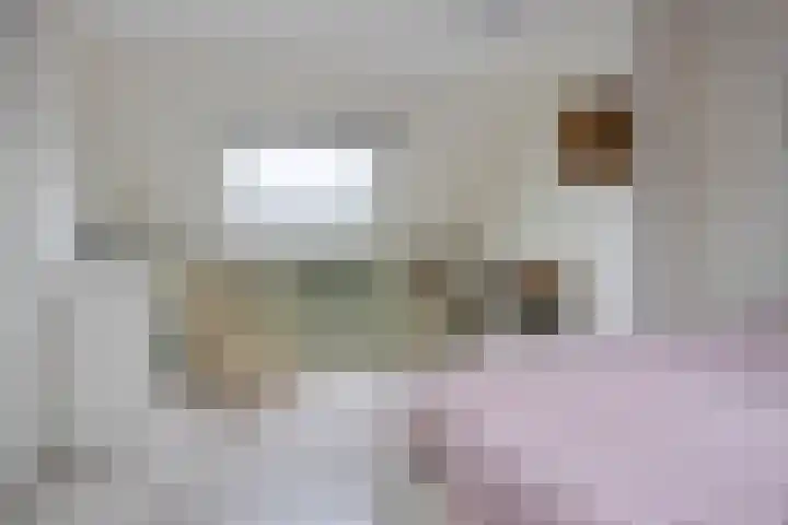 Bergeraclaan 57 Eindhoven thumbnail 33