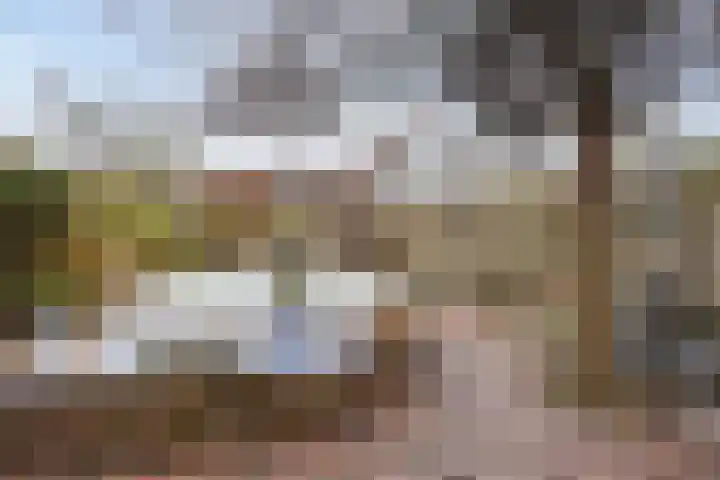 Bergeraclaan 57 Eindhoven thumbnail 36