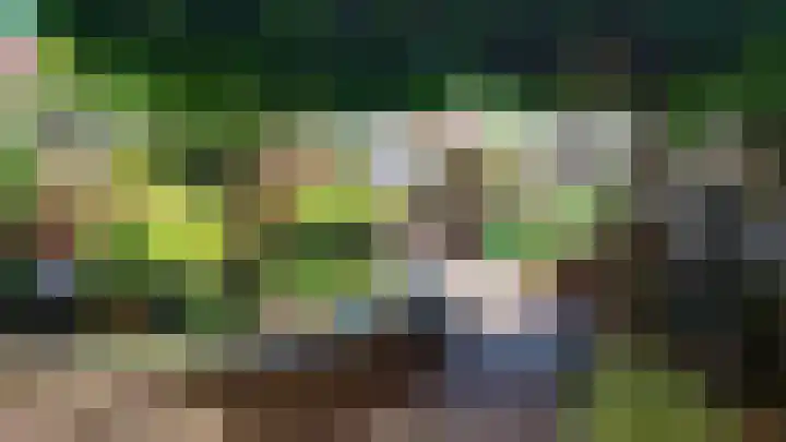 Bergeraclaan 57 Eindhoven thumbnail 37