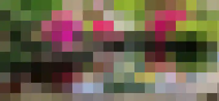 Bergeraclaan 57 Eindhoven thumbnail 38
