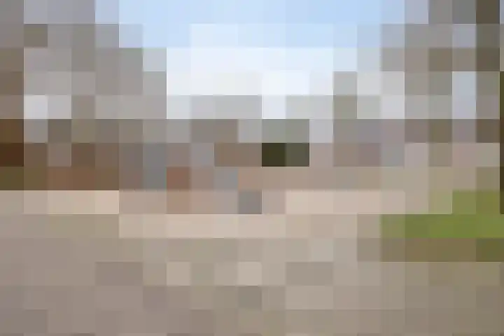 Bergeraclaan 57 Eindhoven thumbnail 48