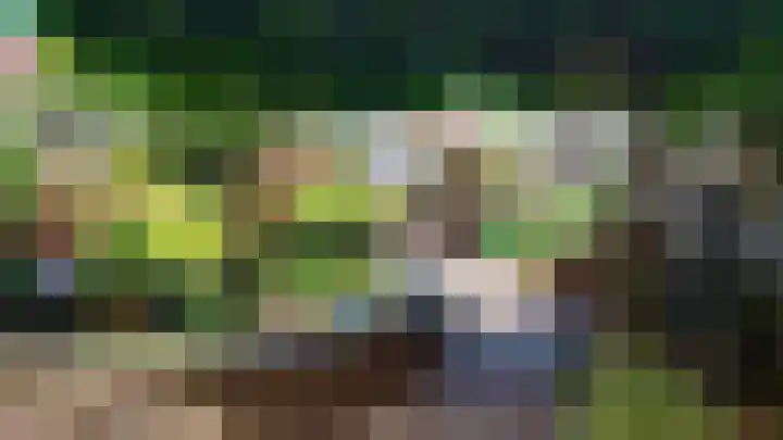 Bergeraclaan 57 Eindhoven thumbnail 5