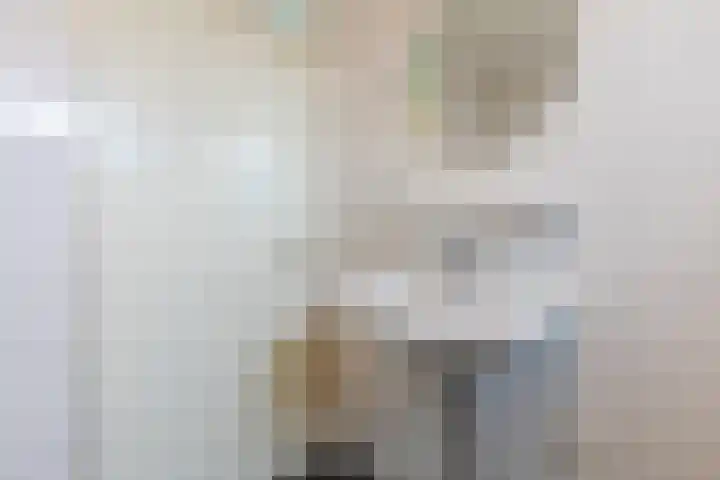 Bergerhei 32 Veldhoven thumbnail 32