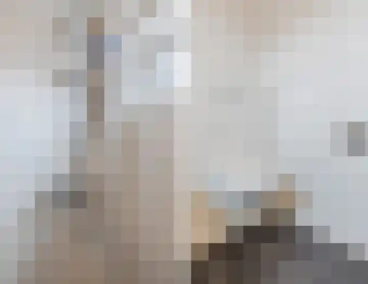 Bergerhei 32 Veldhoven thumbnail 33